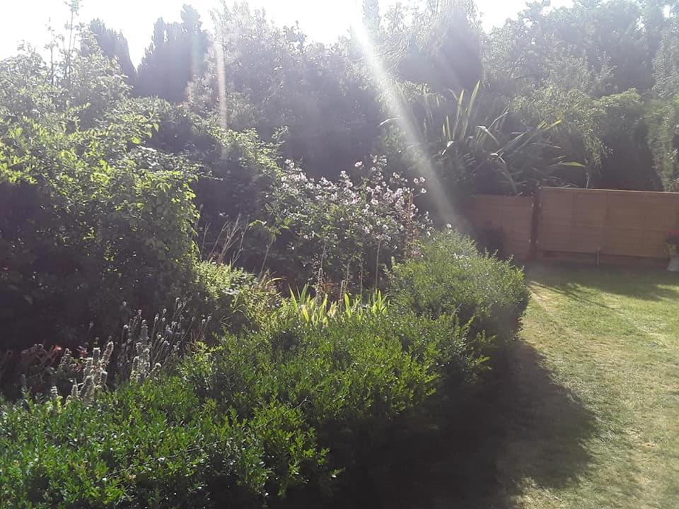 Appartamento The Retreat Hereford Esterno foto